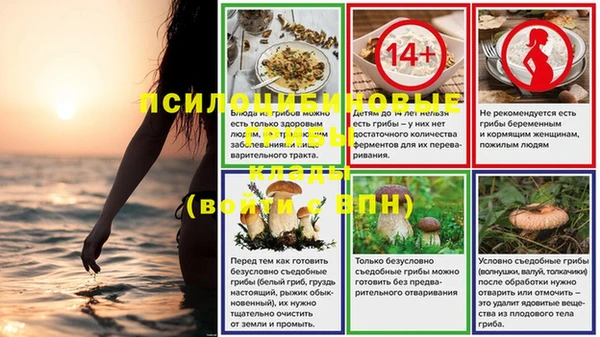 молекула духа Абинск
