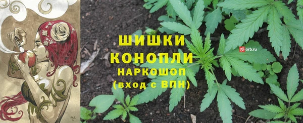 дурь Покачи