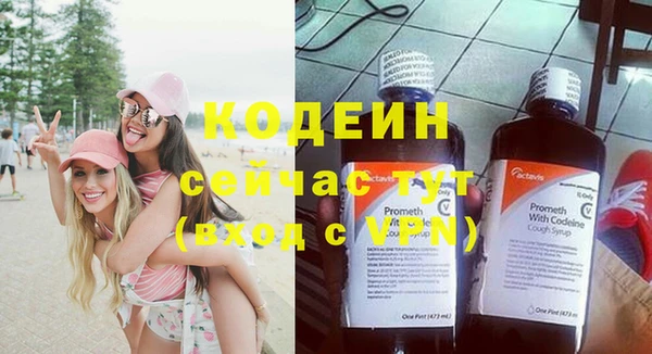 крисы Пересвет