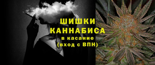 ПСИЛОЦИБИНОВЫЕ ГРИБЫ Абаза
