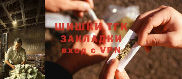 индика Алексин