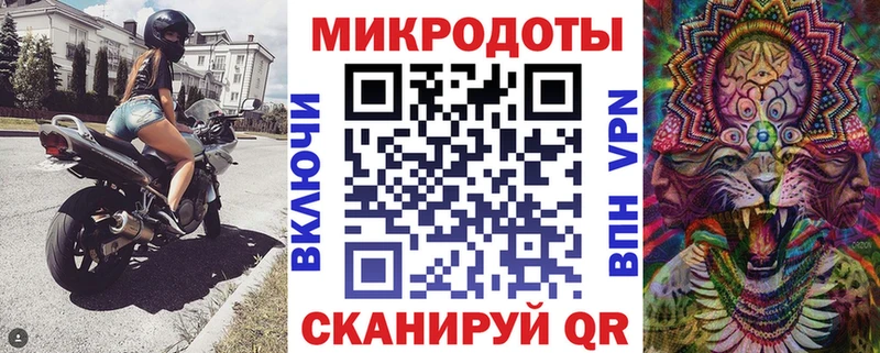 купить   Ирбит  Галлюциногенные грибы Psilocybe 
